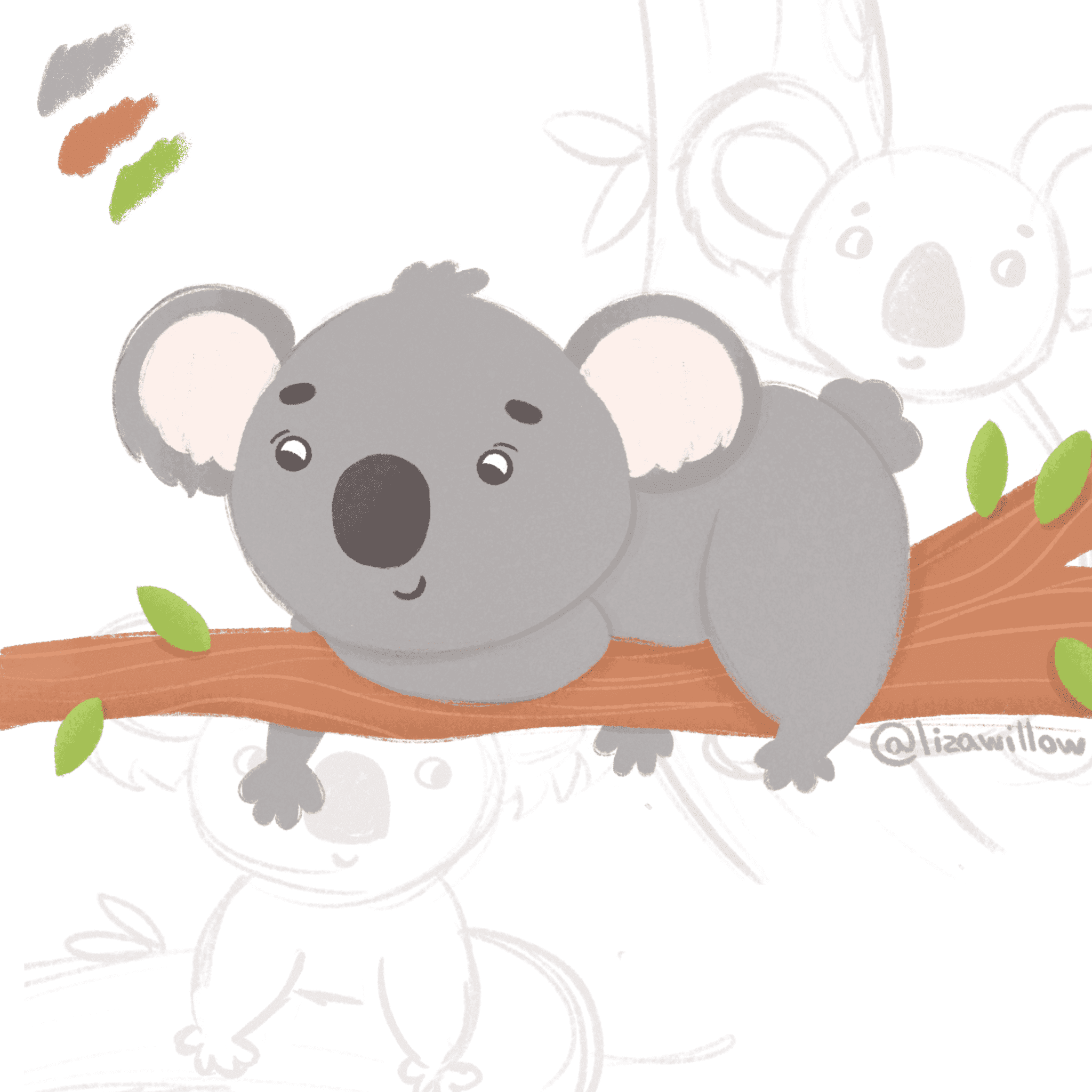 koala bear sketch